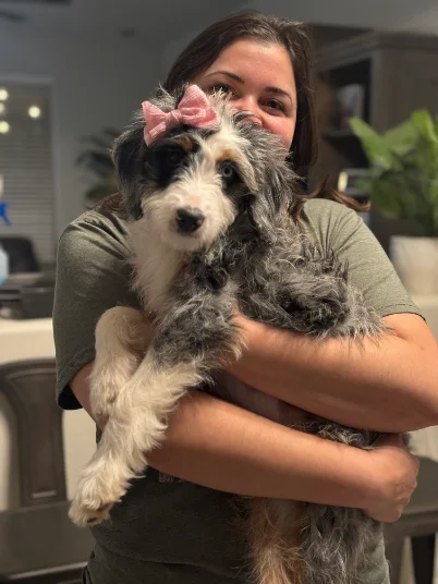 One of our puppies at home with their family