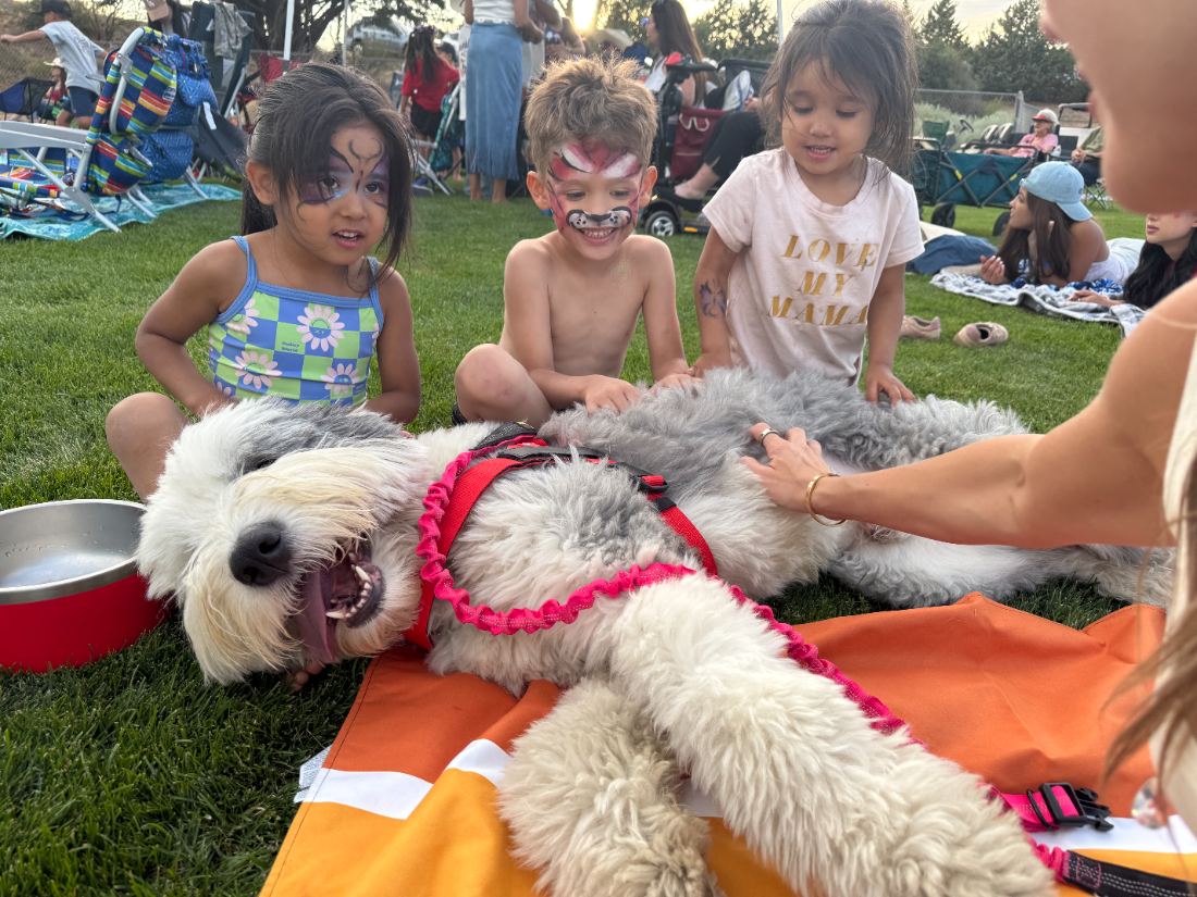 Three children at a park petting an Old English Sheepdog lying on its side in the grass